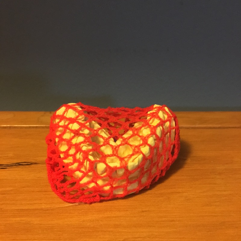photo of a tooth mold with red netting