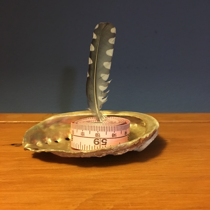 photo of an abalone shell, measuring tape & feather