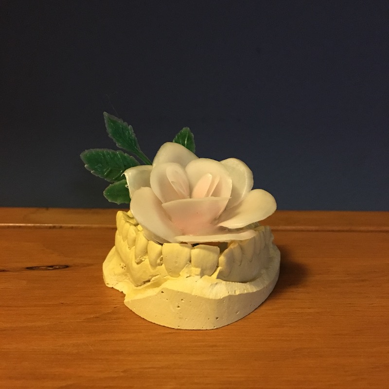 photo of a tooth mold and plastic pink flower